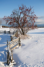charlevoix